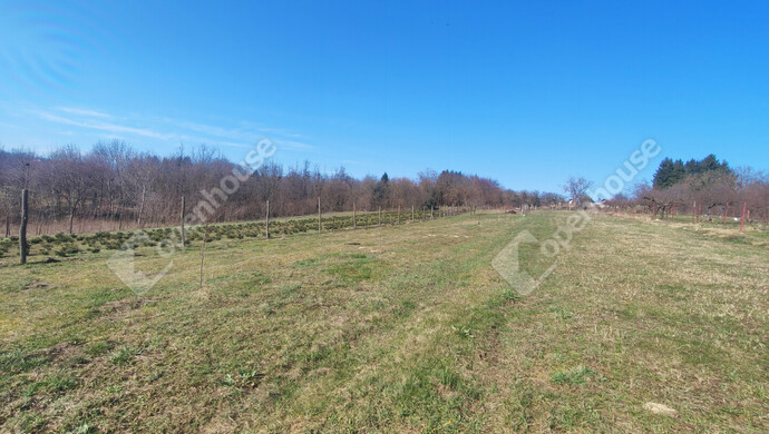 55. kép | Eladó Nyaraló, Becsehely (#180205)