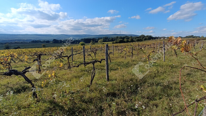 1. kép | Eladó Telek, Harka (#177346)