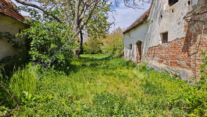 4. kép | Eladó Családi ház, Gór (#181312)