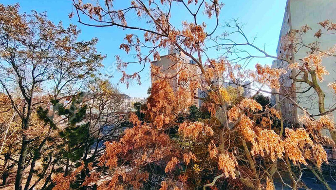 11. kép | Székesfehérvár eladó társasházi lakás | Eladó Társasházi lakás, Székesfehérvár (#178263)