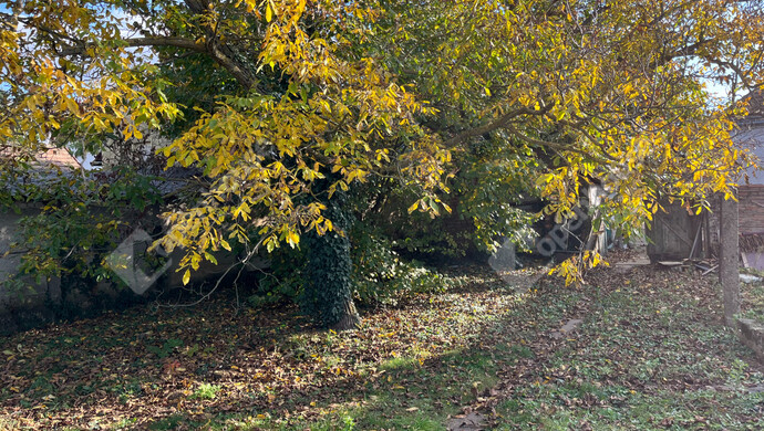 4. kép | Eladó Családi ház, Fertőd (#178187)