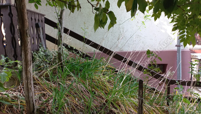 5. kép | Eladó Nyaraló, Homokkomárom (#176681)