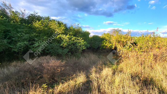 16. kép | Eladó Családi ház, Csévharaszt (#177560)