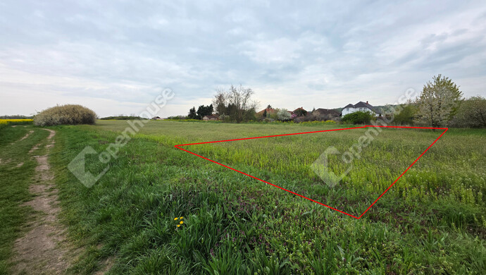 6. kép | Eladó Telek, Mályi (#181145)