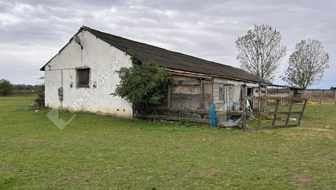 16. kép | Eladó Ipari ingatlan, Fertőszentmiklós (#170626)