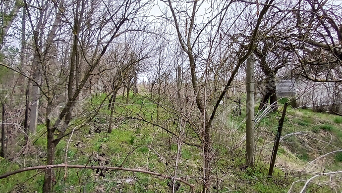 14. kép | Eladó Zárt kert, Vasvár (#180645)