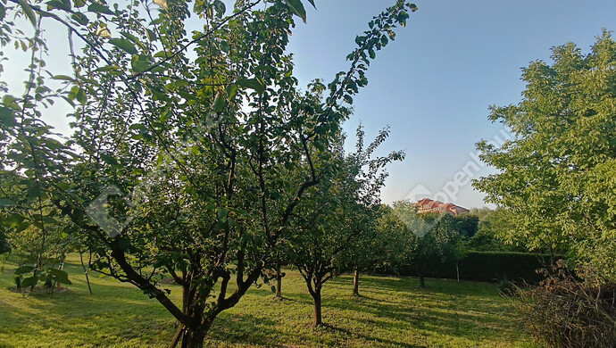 14. kép | Eladó Családi ház, Marcali (#177837)