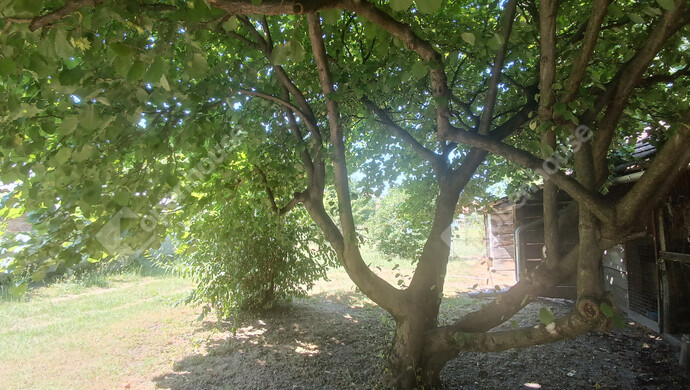 23. kép | Eladó Családi ház, Marcali (#177784)