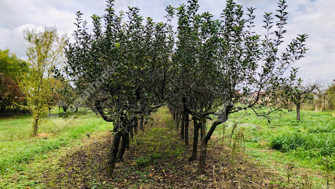 14. kép | Eladó Nyaraló, Tótszentmárton (#180089)