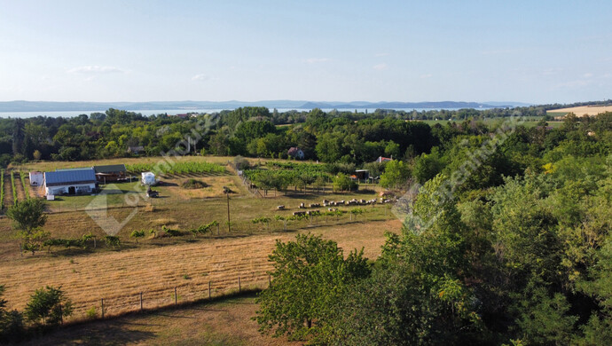 5. kép | Eladó Telek, Balatonszárszó (#175510)