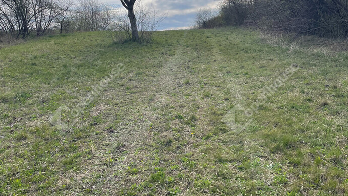 2. kép | Eladó Telek, Sopron (#181157)