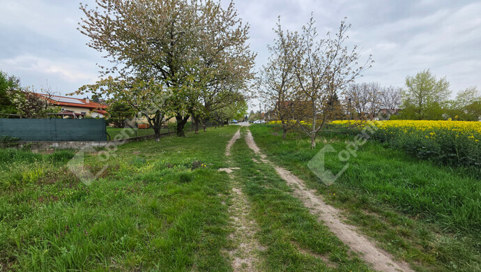 7. kép | Eladó Telek, Mályi (#181150)