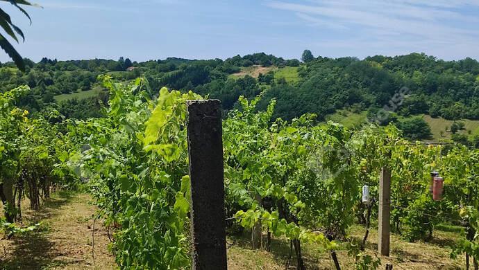 28. kép | Eladó Nyaraló, Homokkomárom (#174607)