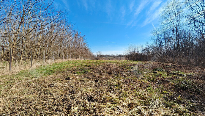 7. kép | Eladó Telek, Halastó (#180058)