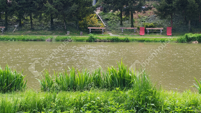 49. kép | Eladó Családi ház, Ötvöskónyi (#181241)