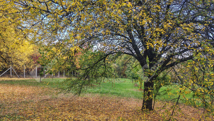 65. kép | Eladó Nyaraló, Nagykanizsa (#177970)