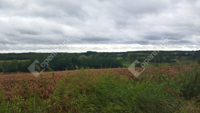 5. kép | Eladó Telek, Öreglak (#179289)