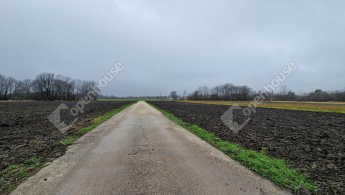 7. kép | Kiadó Ipari ingatlan, Komárom (#179013)