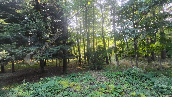 14. kép | Eladó Családi ház, Pilisszentkereszt (#177077)