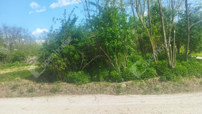 6. kép | Eladó Telek, Öreglak (#179289)