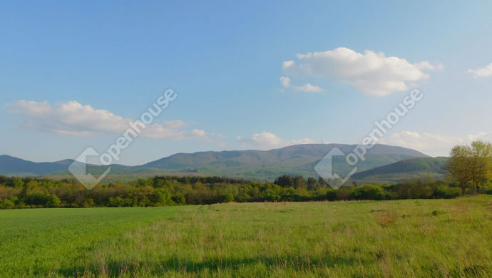 0. kép | Eladó Telek, Mezőkövesd (#146044)