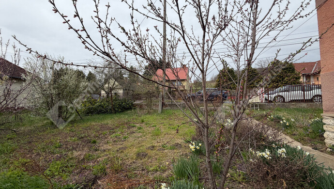 8. kép | Eladó Családi ház, Búcsúszentlászló (#180790)