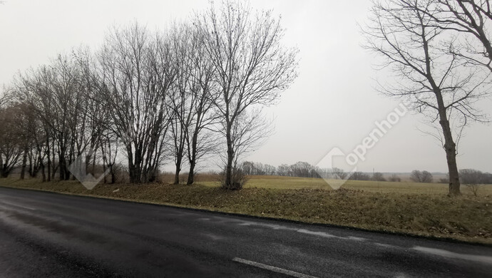 7. kép | Eladó Mezőgazdasági, Sármellék (#175513)