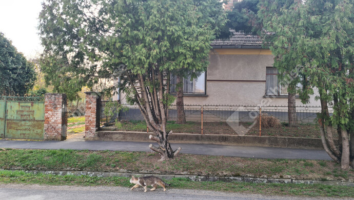 0. kép | Eladó Családi ház, Mesteri (#180364)