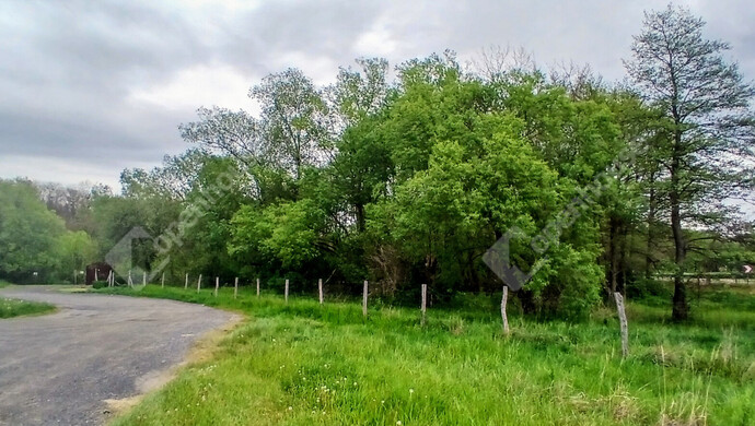 1. kép | Eladó Telek, Zalaegerszeg (#181405)