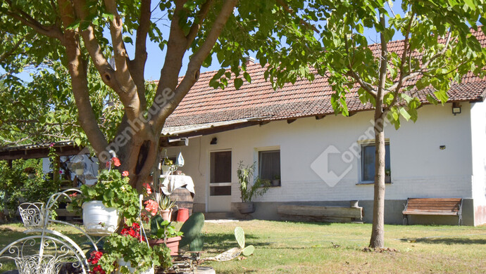 0. kép | Eladó Családi ház, Kistelek (#177150)