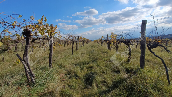 4. kép | Eladó Telek, Harka (#177346)