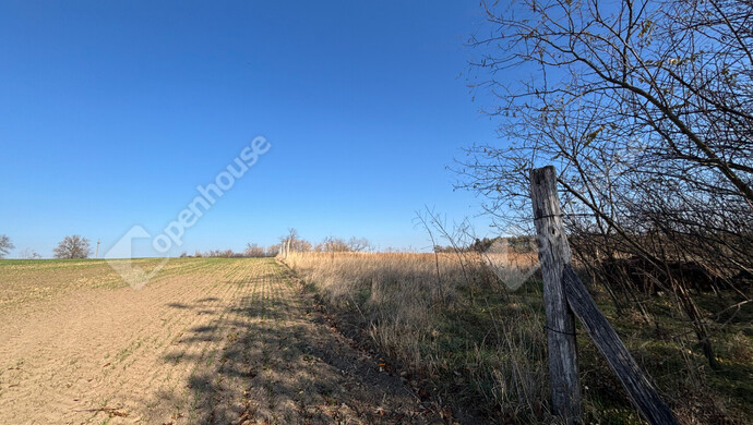 9. kép | Eladó Telek, Gomba (#178274)