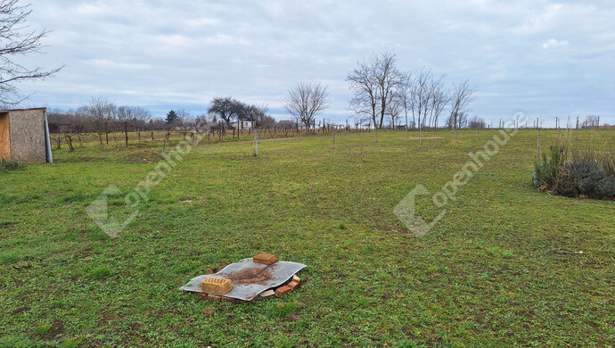 5. kép | Eladó Családi ház, Marcali (#178999)