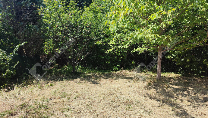 66. kép | Eladó Nyaraló, Szepetnek (#176202)