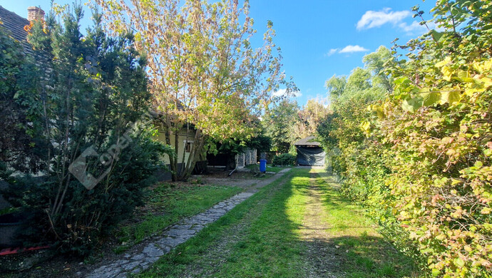 13. kép | Eladó Családi ház, Alsózsolca (#177488)