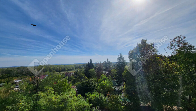 29. kép | Eladó Családi ház, Leányfalu (#177945)