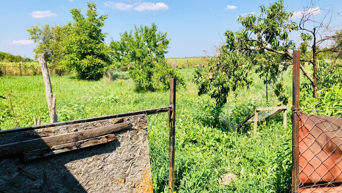 31. kép | Eladó Családi ház, Nemesvid (#176674)