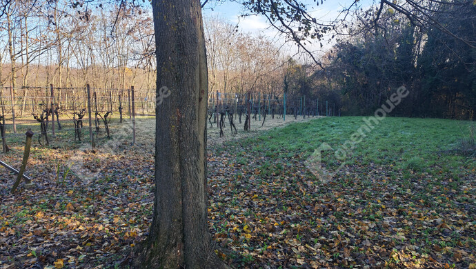 37. kép | Eladó Nyaraló, Letenye (#178652)