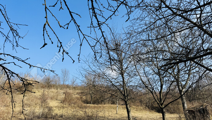 4. kép | Eladó Családi ház, Hollád (#177734)