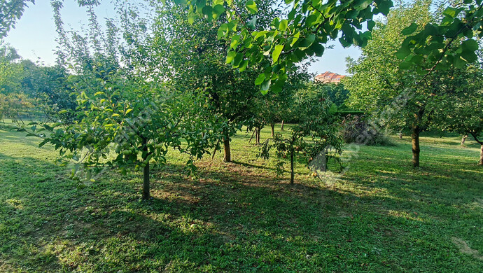 9. kép | Eladó Családi ház, Marcali (#177837)