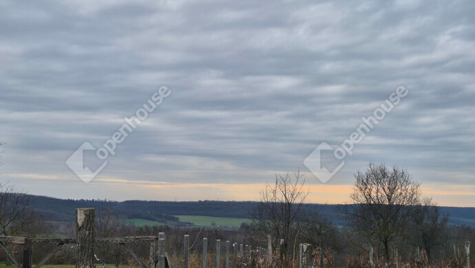 9. kép | Panoráma | Eladó Telek, Sülysáp (#178797)