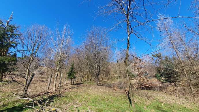 12. kép | Eladó Zárt kert, Homokkomárom (#180107)