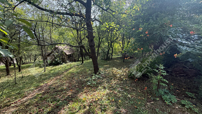 26. kép | Eladó Családi ház, Becsvölgye (#176934)