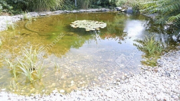 8. kép | Eladó Családi ház, Zalaszentiván (#179386)