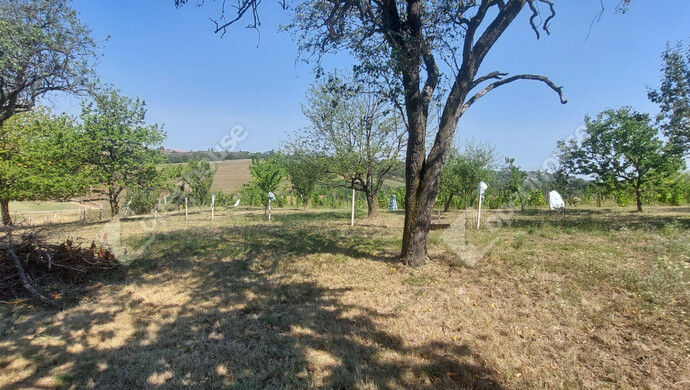 9. kép | Telek | Eladó Telek, Zalaegerszeg (#175765)