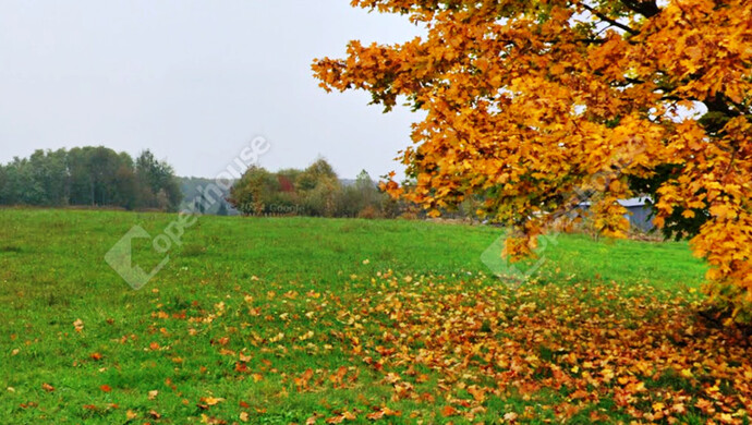 3. kép | Eladó Telek, Kemestaródfa (#178069)