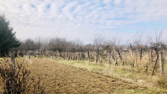 21. kép | Eladó Nyaraló, Nagykanizsa (#175740)