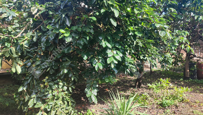 29. kép | Eladó Családi ház, Porrogszentkirály (#178270)