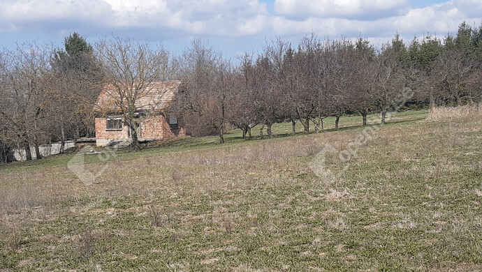 10. kép | Eladó Zárt kert, Sand (#180348)