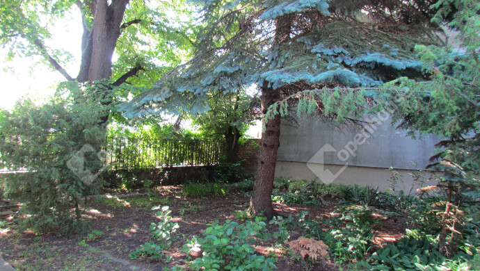 4. kép | Eladó Családi ház, Miskolc (#176222)